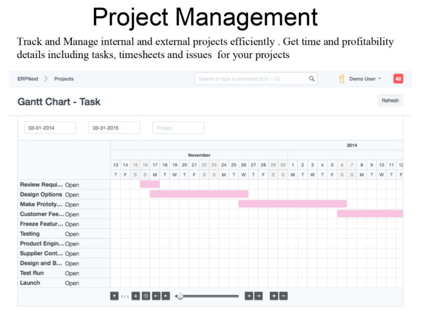 Project Management